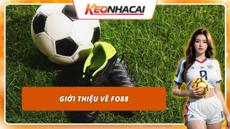Cái nhìn tổng quan về nhà cái FO88