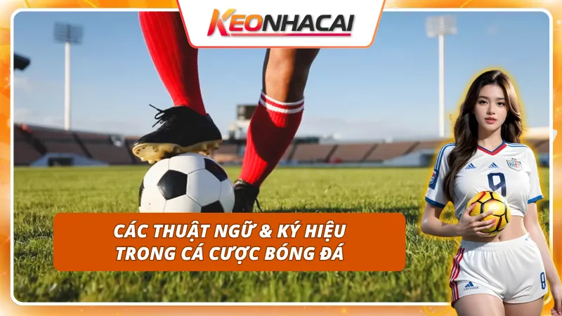 Kèo nhà cái là gì? Những yếu tố ảnh hưởng đến tỷ lệ keonhacai 27